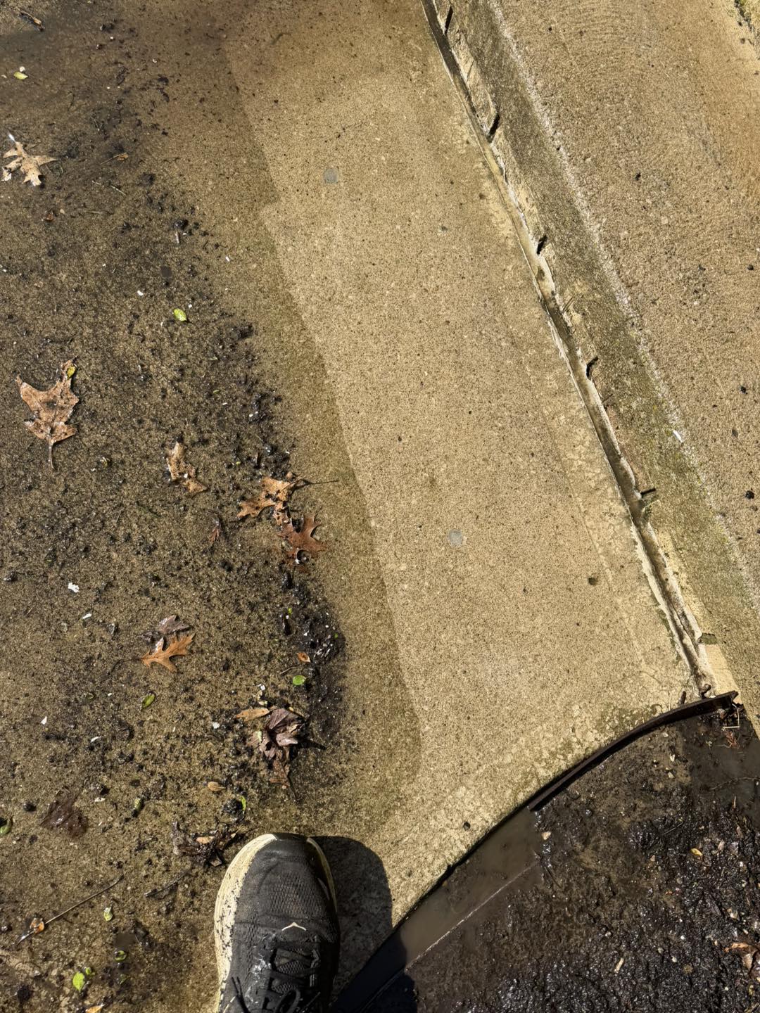 Pressure washing concrete sidewalk — half clean, half not